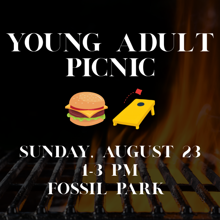 Young Adult Picnic